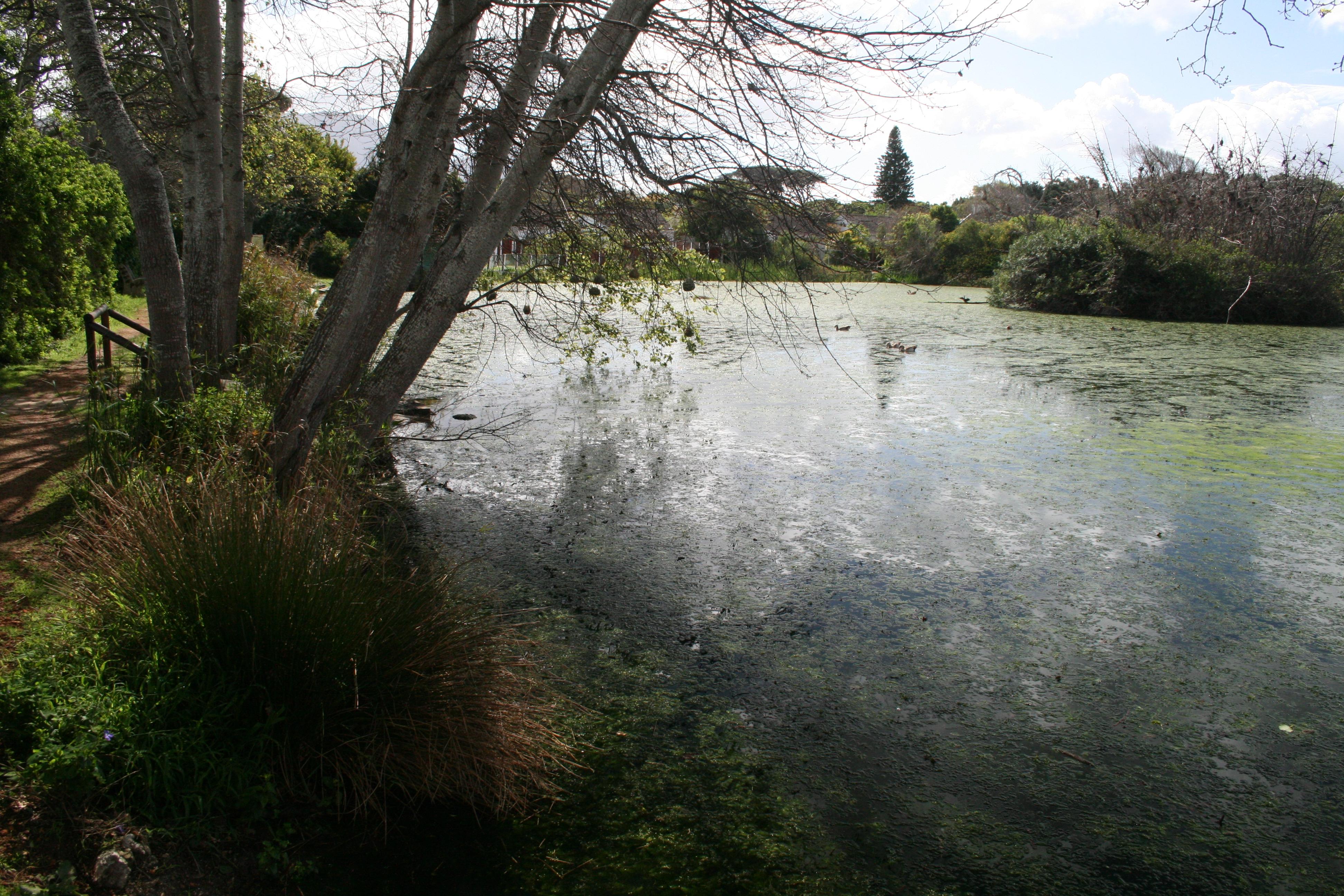 Die Oog Conservation Area